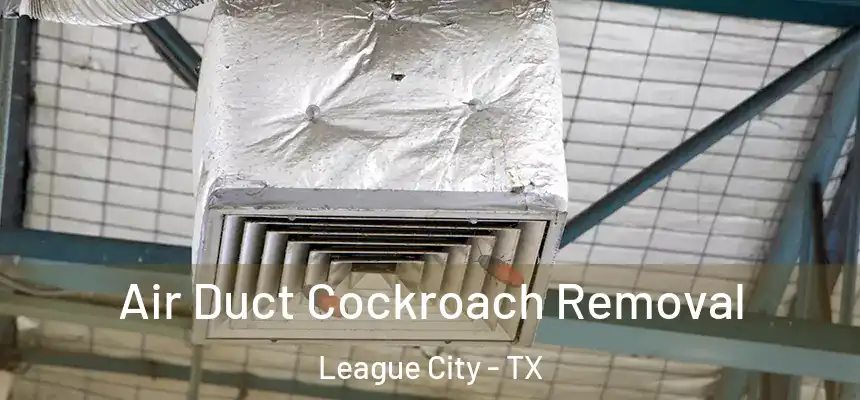  Air Duct Cockroach Removal League City - TX