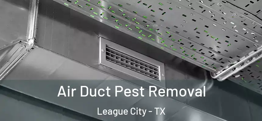  Air Duct Pest Removal League City - TX