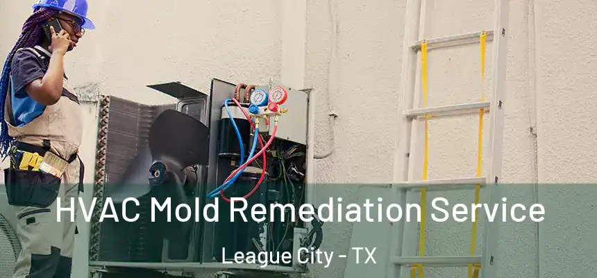  HVAC Mold Remediation Service League City - TX