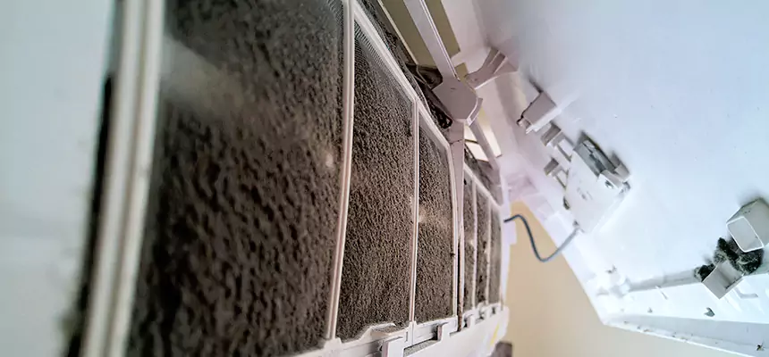 Preventive Air Duct Bacteria Removal in League City