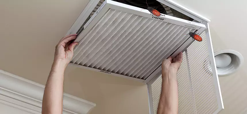Preventive Cockroach-Proofing for Ducts in League City