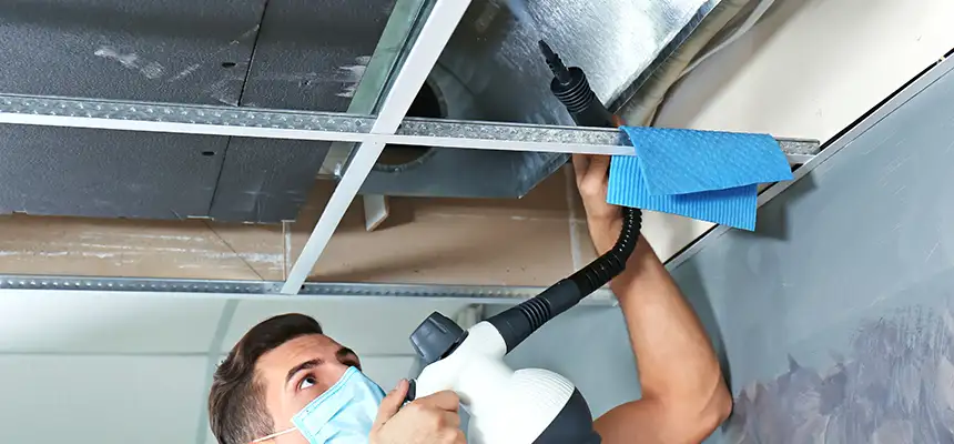 Our Air Duct Rodent Removal Services in League City, TX