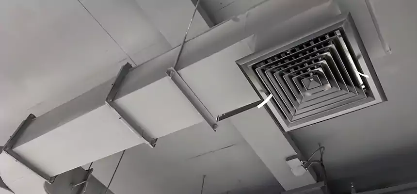 Restorative Allergy Relief Vent Cleaning – Coil, Blower & Housing Detail in League City