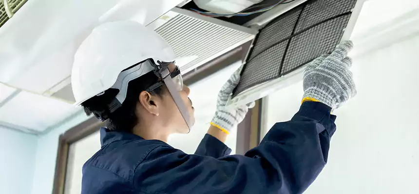 Our Mold & Mildew Removal from Air Ducts Services in League City, TX