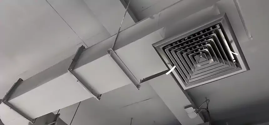 Our Pest Removal From Ducts Services in League City, TX