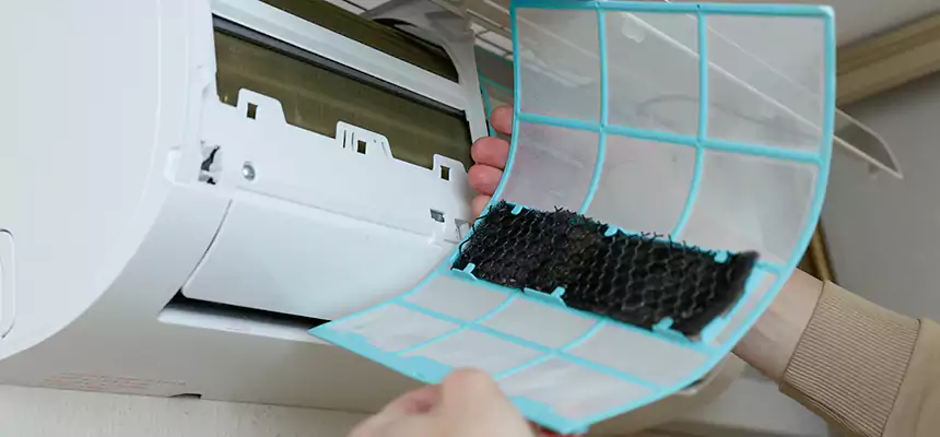 Gentle Ductwork Odor-Control Pet Dander Duct Cleaning in League City, TX