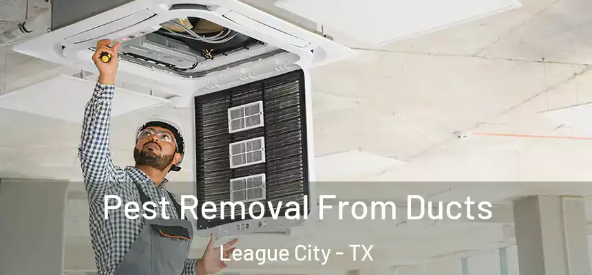  Pest Removal From Ducts League City - TX