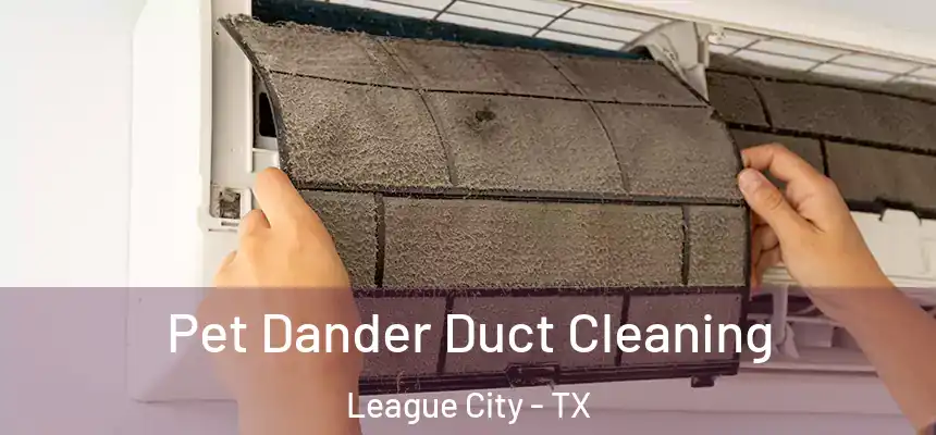 Pet Dander Duct Cleaning League City - TX