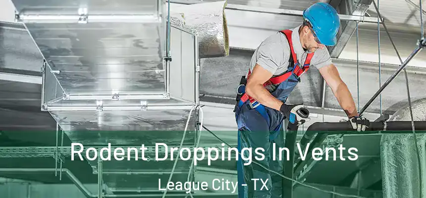  Rodent Droppings In Vents League City - TX