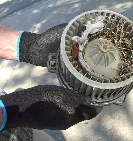 About Air Duct Rat Removal in League City, TX