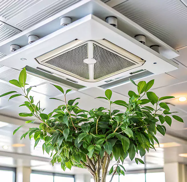 Why Homeowners & Businesses Trust Us in League City, TX?