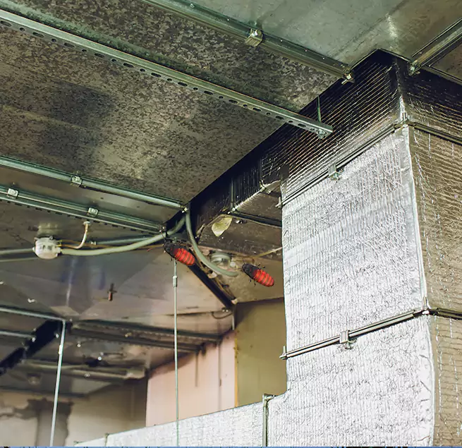 Why Homeowners & Businesses Trust Us League City, TX?