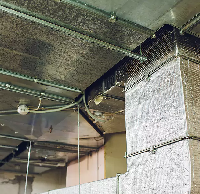 Why Homeowners & Businesses Trust Us in League City, TX?